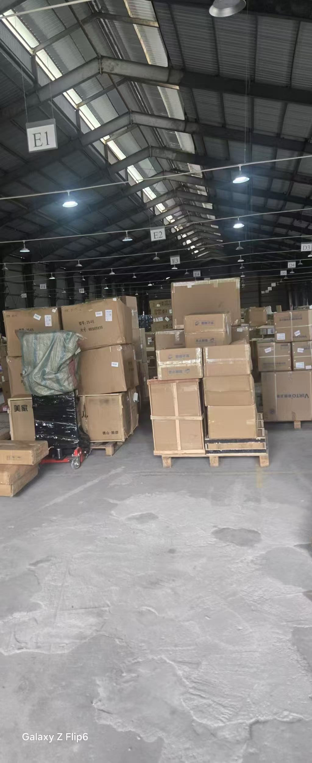 規範化管理 — 紙箱與棧板分區堆放,區域標示清楚